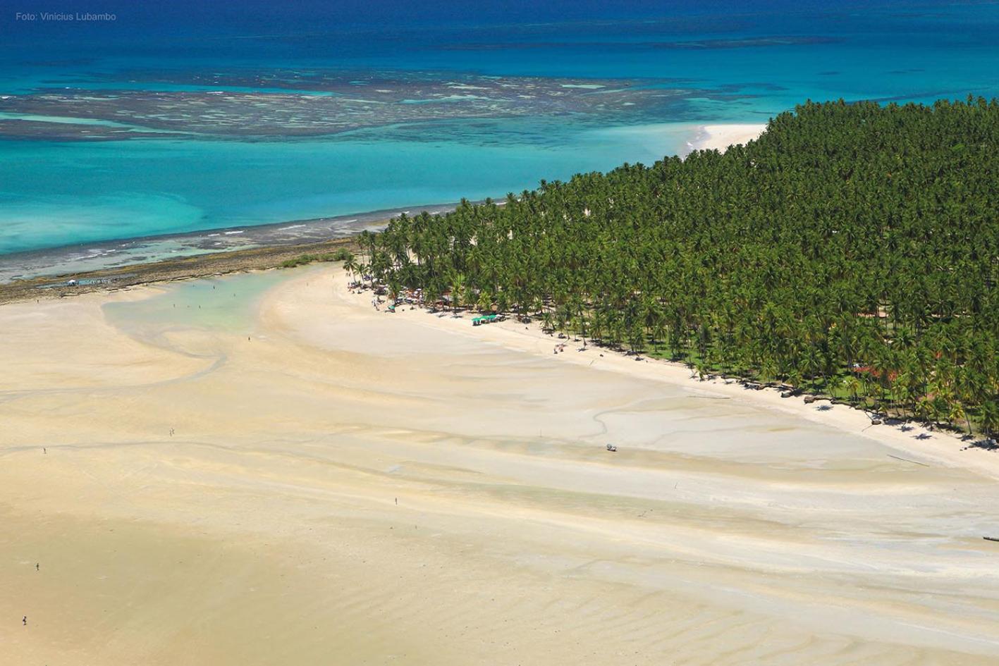 Carneiros Beach Resort 普拉亚多斯卡内罗斯 外观 照片