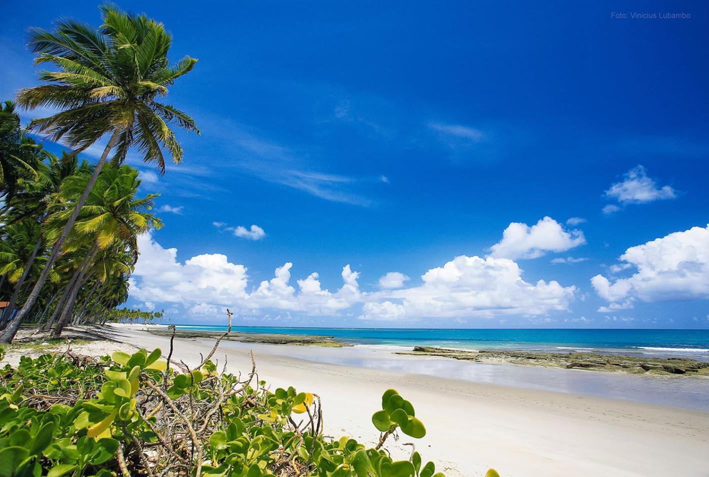 Carneiros Beach Resort 普拉亚多斯卡内罗斯 外观 照片
