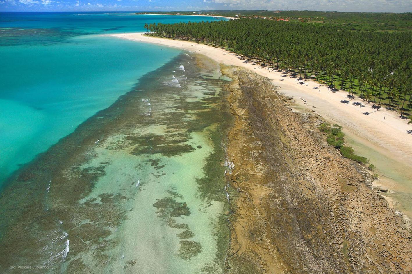 Carneiros Beach Resort 普拉亚多斯卡内罗斯 外观 照片